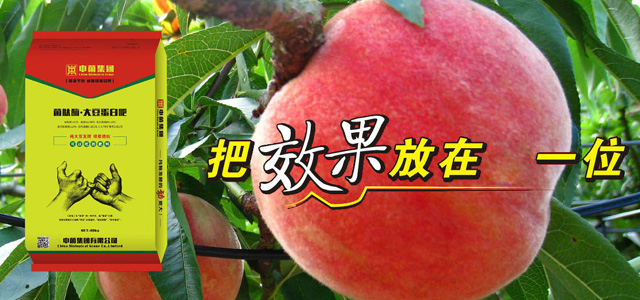 test3